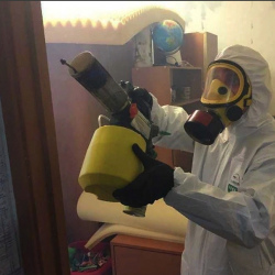 Уничтожение клопов в квартире. Прохладный